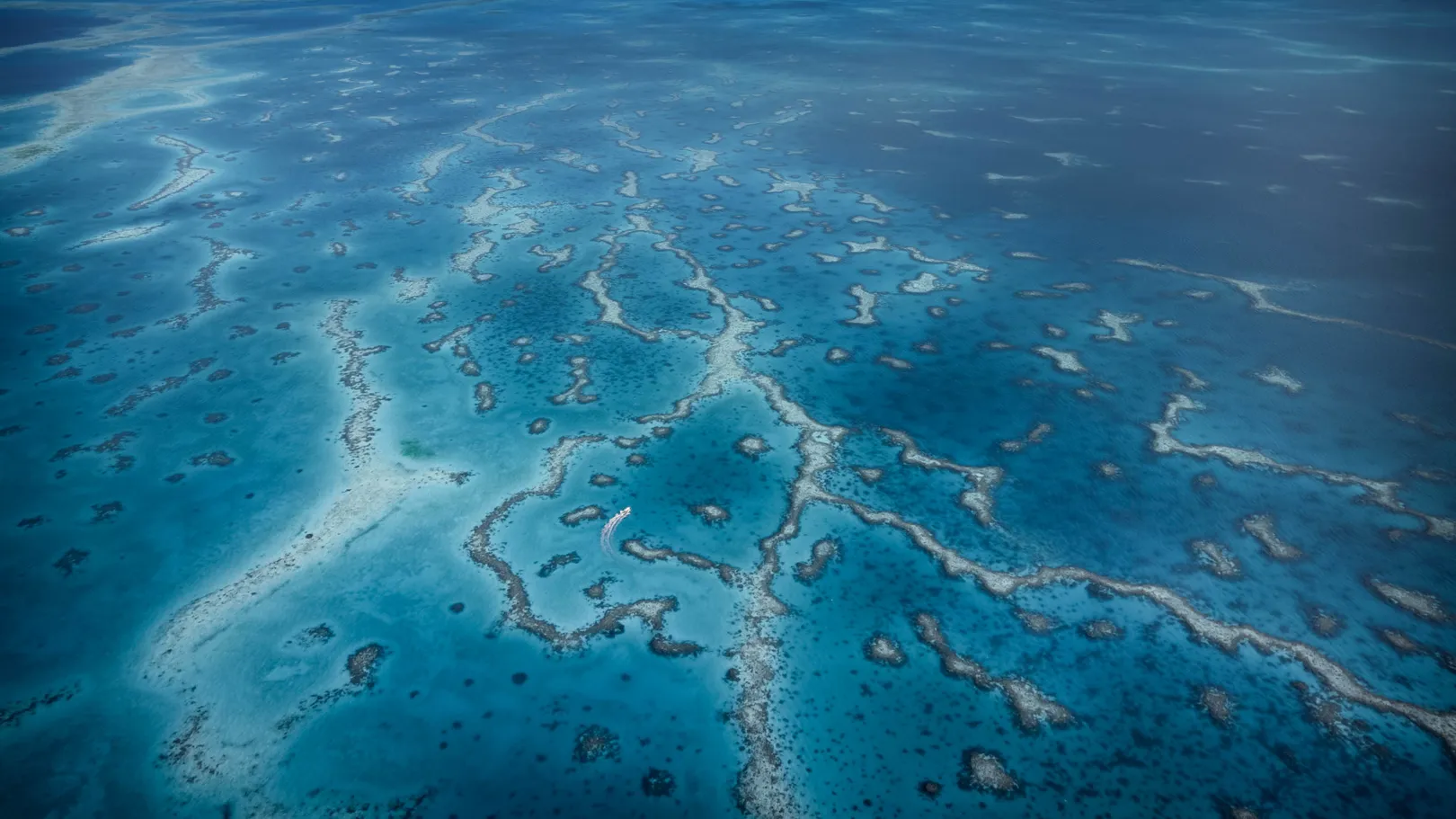 Delicate structures formed by the reefs in Ayau, Raja Ampat