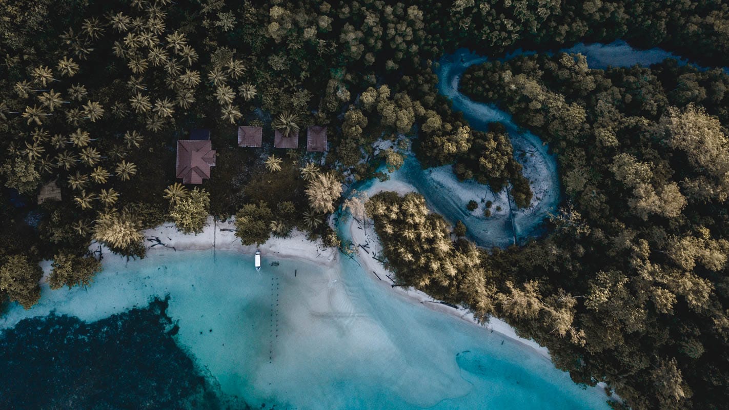 Small tropical stream meandering to the beach