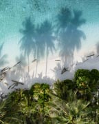 Palm-covered tropical island in the remote Ayau Archipelago, Raja Ampat