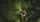 Trekking the Tropical Rainforest
